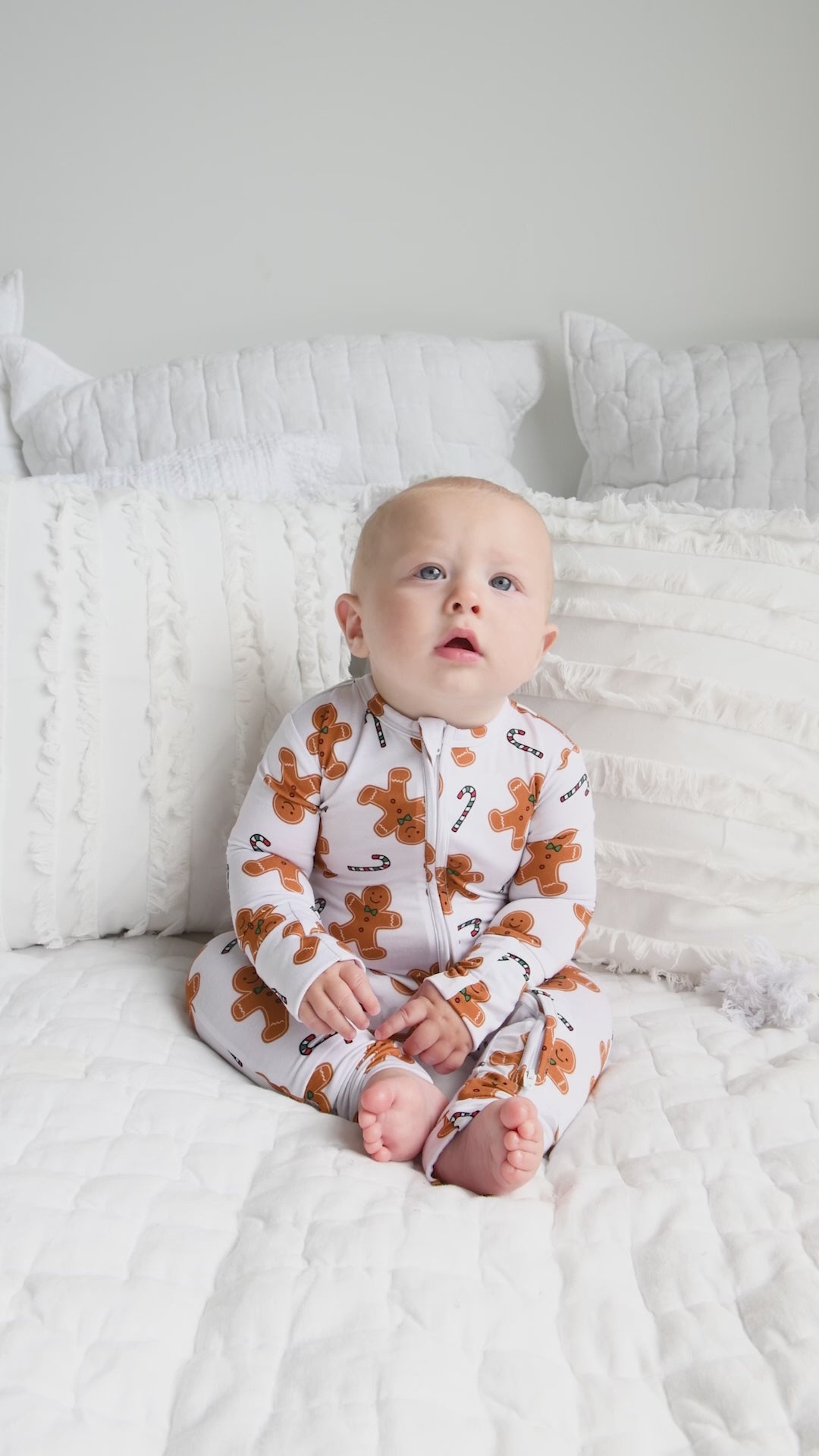 Fritz Gingerbread ZIP - Gigi and Max